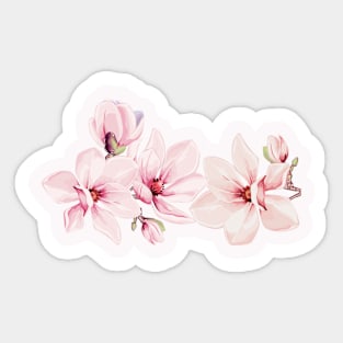 Pink Magnolia Blossom Sticker